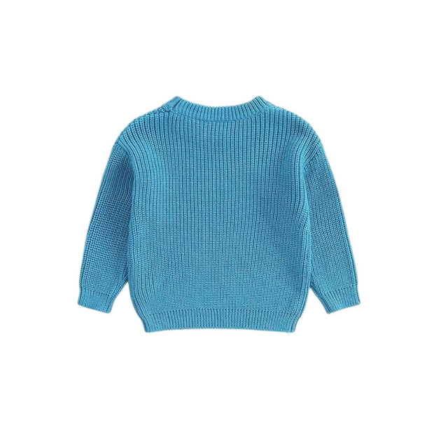 Henia Baby Crewneck Knit Sweater Top